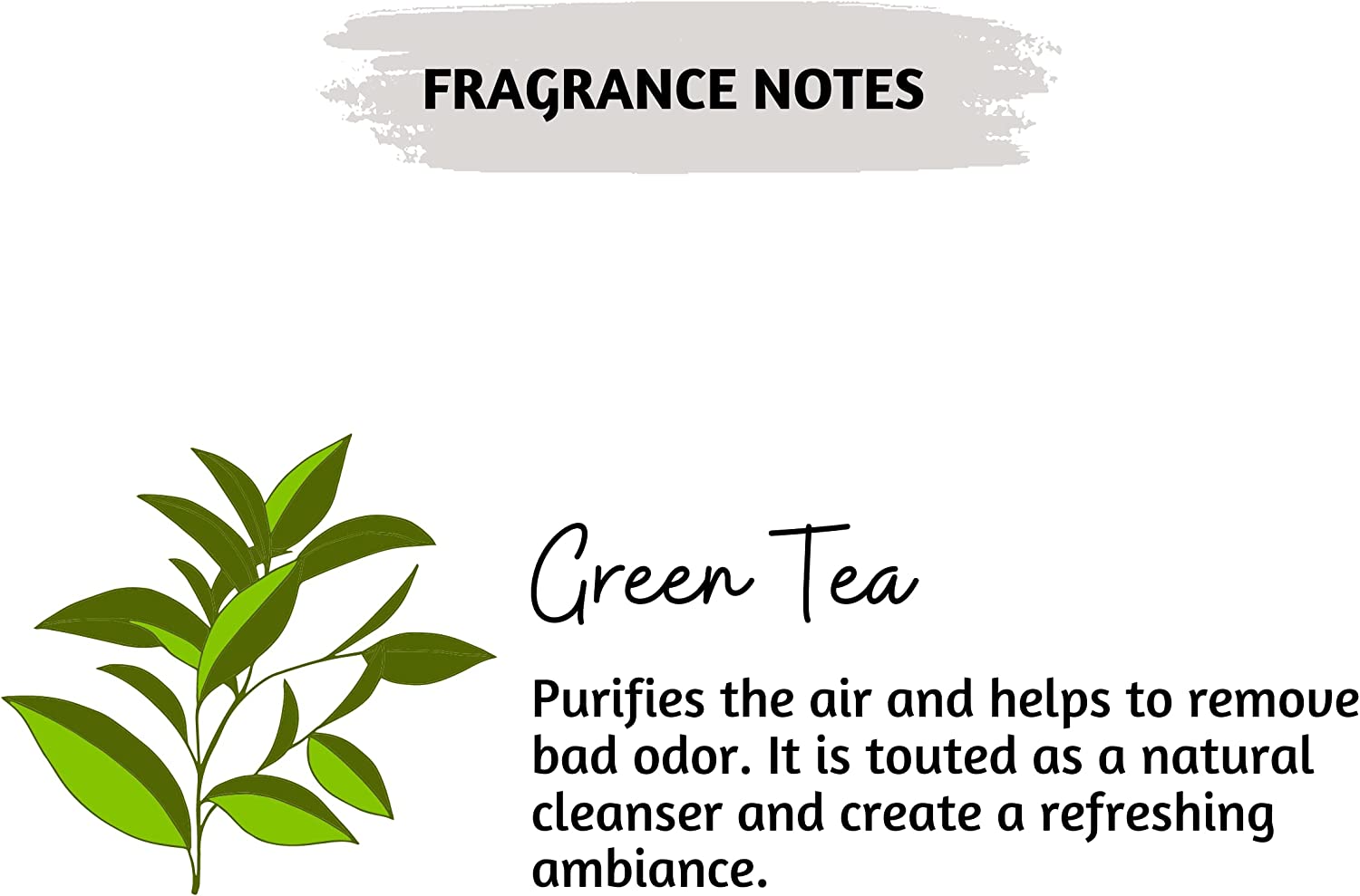 #fragrance_green-tea